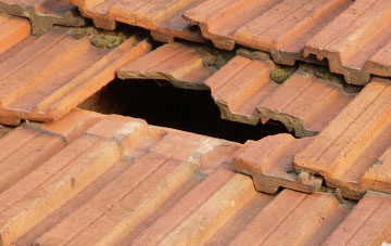 roof repair Higher Prestacott, Devon
